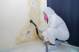 Reliable Sharpsville, PA Mold Inspection Solutions